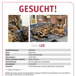 Profilbild von Leo vermisst in Meckenheim