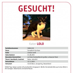 Profilbild von Lolo vermisst in Bonn