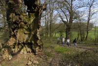 Wandern am Karmelenberg