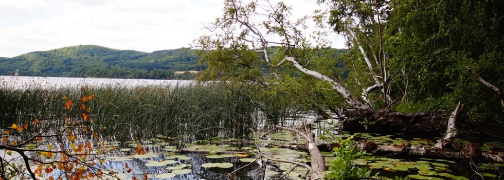 Laacher See Ufer