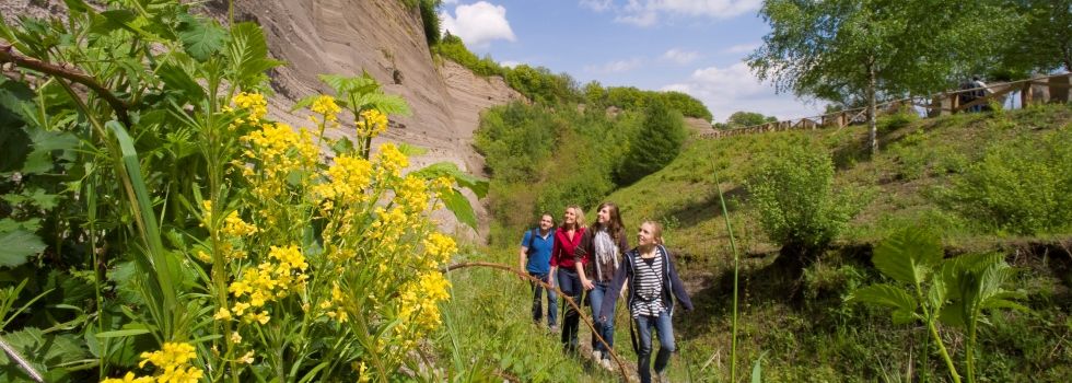 Wandern auf den Traumpfaden