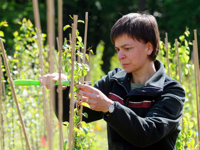 Die Forschungsanstalt betreibt an der Nahtstelle zwischen Grundlagenforschung und Praxis anwendungsorientierte Forschungsvorhaben.; Bild: Markus Hoffmann