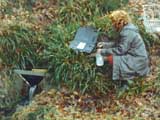 Wasserprobenentnahme; Bild: Archiv Landesforsten Rheinland-Pfalz