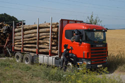 LKW mit Laub-Industrieholz; Bild: Archiv Landesforsten Rheinland-Pfalz