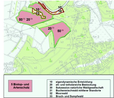 Grafik Waldflächen; Bild: FAWF